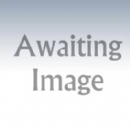 Fiat 500 electric.jpg Fiat 500 electric.jpg